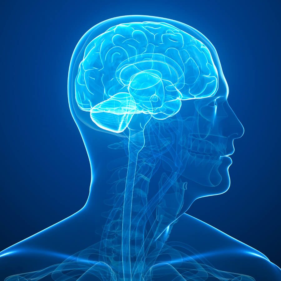 Brouillard cérébral : causes et solutions naturelles | Brainzyme®